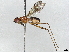  ( - BIOUG58690-C08)  @11 [ ] CreativeCommons - Attribution (2022) CBG Photography Group Centre for Biodiversity Genomics