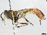  ( - BIOUG63925-E02)  @11 [ ] CreativeCommons - Attribution (2026) CBG Photography Group Centre for Biodiversity Genomics