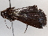  (Rejectaria Malaise6918 - BIOUG63996-F02)  @11 [ ] CreativeCommons - Attribution (2021) Centre for Biodiversity Genomics Centre for Biodiversity Genomics