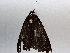  ( - BIOUG63996-F03)  @11 [ ] CreativeCommons - Attribution (2021) Centre for Biodiversity Genomics Centre for Biodiversity Genomics
