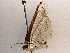  ( - BIOUG63996-G01)  @11 [ ] CreativeCommons - Attribution (2021) Centre for Biodiversity Genomics Centre for Biodiversity Genomics