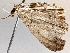  ( - BIOUG63996-G02)  @11 [ ] CreativeCommons - Attribution (2021) Centre for Biodiversity Genomics Centre for Biodiversity Genomics