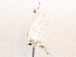  ( - BIOUG63996-H03)  @11 [ ] CreativeCommons - Attribution (2021) Centre for Biodiversity Genomics Centre for Biodiversity Genomics