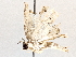  ( - BIOUG63996-H07)  @11 [ ] CreativeCommons - Attribution (2021) Centre for Biodiversity Genomics Centre for Biodiversity Genomics