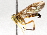  ( - BIOUG63997-B05)  @11 [ ] CreativeCommons - Attribution (2021) Centre for Biodiversity Genomics Centre for Biodiversity Genomics