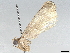  ( - BIOUG66596-B09)  @11 [ ] CreativeCommons - Attribution (2022) CBG Photography Group Centre for Biodiversity Genomics