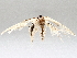  ( - BIOUG70346-B07)  @11 [ ] CreativeCommons - Attribution (2021) Centre for Biodiversity Genomics Centre for Biodiversity Genomics