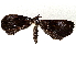  ( - BIOUG70346-B10)  @11 [ ] CreativeCommons - Attribution (2021) Centre for Biodiversity Genomics Centre for Biodiversity Genomics