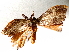  ( - BIOUG70346-B12)  @11 [ ] CreativeCommons - Attribution (2021) Centre for Biodiversity Genomics Centre for Biodiversity Genomics