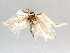  ( - BIOUG70346-C02)  @11 [ ] CreativeCommons - Attribution (2021) Centre for Biodiversity Genomics Centre for Biodiversity Genomics