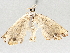  ( - BIOUG70346-C06)  @11 [ ] CreativeCommons - Attribution (2021) Centre for Biodiversity Genomics Centre for Biodiversity Genomics