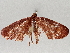  ( - BIOUG70346-C10)  @11 [ ] CreativeCommons - Attribution (2021) Centre for Biodiversity Genomics Centre for Biodiversity Genomics