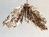  ( - BIOUG70346-D01)  @11 [ ] CreativeCommons - Attribution (2021) Centre for Biodiversity Genomics Centre for Biodiversity Genomics