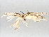 ( - BIOUG70346-D08)  @11 [ ] CreativeCommons - Attribution (2021) Centre for Biodiversity Genomics Centre for Biodiversity Genomics