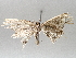  ( - BIOUG70346-D11)  @11 [ ] CreativeCommons - Attribution (2021) Centre for Biodiversity Genomics Centre for Biodiversity Genomics