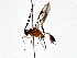  ( - BIOUG70347-A02)  @11 [ ] CreativeCommons - Attribution (2021) Centre for Biodiversity Genomics Centre for Biodiversity Genomics