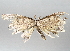  ( - BIOUG70348-C11)  @11 [ ] CreativeCommons - Attribution (2021) Centre for Biodiversity Genomics Centre for Biodiversity Genomics