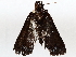  ( - BIOUG70348-G08)  @11 [ ] CreativeCommons - Attribution (2021) Centre for Biodiversity Genomics Centre for Biodiversity Genomics