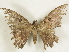  ( - BIOUG70348-G12)  @11 [ ] CreativeCommons - Attribution (2021) Centre for Biodiversity Genomics Centre for Biodiversity Genomics