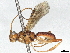  ( - BIOUG70355-B10)  @11 [ ] CreativeCommons - Attribution (2026) CBG Photography Group Centre for Biodiversity Genomics