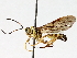  ( - BIOUG71233-A10)  @11 [ ] CreativeCommons - Attribution (2021) Centre for Biodiversity Genomics Centre for Biodiversity Genomics