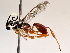  ( - BIOUG71233-E01)  @11 [ ] CreativeCommons - Attribution (2021) Centre for Biodiversity Genomics Centre for Biodiversity Genomics