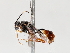  ( - BIOUG71233-G10)  @11 [ ] CreativeCommons - Attribution (2021) Centre for Biodiversity Genomics Centre for Biodiversity Genomics