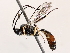  ( - BIOUG71233-H03)  @11 [ ] CreativeCommons - Attribution (2021) Centre for Biodiversity Genomics Centre for Biodiversity Genomics