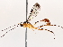  ( - BIOUG71233-H05)  @11 [ ] CreativeCommons - Attribution (2021) Centre for Biodiversity Genomics Centre for Biodiversity Genomics