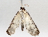  ( - BIOUG71234-B03)  @11 [ ] CreativeCommons - Attribution (2021) Centre for Biodiversity Genomics Centre for Biodiversity Genomics