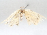  ( - BIOUG71234-B06)  @11 [ ] CreativeCommons - Attribution (2021) Centre for Biodiversity Genomics Centre for Biodiversity Genomics