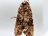  ( - BIOUG71234-D05)  @11 [ ] CreativeCommons - Attribution (2021) Centre for Biodiversity Genomics Centre for Biodiversity Genomics