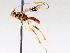  ( - BIOUG71236-C05)  @11 [ ] CreativeCommons - Attribution (2021) Centre for Biodiversity Genomics Centre for Biodiversity Genomics