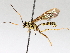  ( - BIOUG71236-C08)  @11 [ ] CreativeCommons - Attribution (2021) Centre for Biodiversity Genomics Centre for Biodiversity Genomics