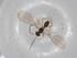  ( - BIOUG72018-B02)  @11 [ ] CreativeCommons - Attribution (2021) Centre for Biodiversity Genomics Centre for Biodiversity Genomics