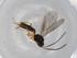  ( - BIOUG72018-H07)  @11 [ ] CreativeCommons - Attribution (2021) Centre for Biodiversity Genomics Centre for Biodiversity Genomics