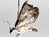  ( - BIOUG63997-G03)  @11 [ ] CreativeCommons - Attribution (2021) Centre for Biodiversity Genomics Centre for Biodiversity Genomics