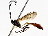  ( - BIOUG63998-A01)  @11 [ ] CreativeCommons - Attribution (2021) Centre for Biodiversity Genomics Centre for Biodiversity Genomics