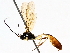  ( - BIOUG63998-A02)  @11 [ ] CreativeCommons - Attribution (2021) Centre for Biodiversity Genomics Centre for Biodiversity Genomics