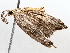  ( - BIOUG63998-G06)  @11 [ ] CreativeCommons - Attribution (2021) Centre for Biodiversity Genomics Centre for Biodiversity Genomics