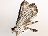  ( - BIOUG63998-H01)  @11 [ ] CreativeCommons - Attribution (2021) Centre for Biodiversity Genomics Centre for Biodiversity Genomics