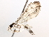  ( - BIOUG63998-H02)  @11 [ ] CreativeCommons - Attribution (2021) Centre for Biodiversity Genomics Centre for Biodiversity Genomics