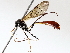  ( - BIOUG63999-B08)  @11 [ ] CreativeCommons - Attribution (2021) Centre for Biodiversity Genomics Centre for Biodiversity Genomics