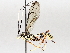  ( - BIOUG63999-F10)  @11 [ ] CreativeCommons - Attribution (2021) Centre for Biodiversity Genomics Centre for Biodiversity Genomics