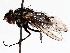  ( - BIOUG64000-A01)  @11 [ ] CreativeCommons - Attribution (2021) CBG Photography Group Centre for Biodiversity Genomics