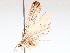  ( - BIOUG64000-B08)  @11 [ ] CreativeCommons - Attribution (2021) CBG Photography Group Centre for Biodiversity Genomics