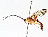  ( - BIOUG64447-A07)  @11 [ ] CreativeCommons - Attribution (2021) Centre for Biodiversity Genomics Centre for Biodiversity Genomics