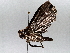  ( - BIOUG64447-D07)  @11 [ ] CreativeCommons - Attribution (2021) Centre for Biodiversity Genomics Centre for Biodiversity Genomics