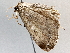  ( - BIOUG64447-G02)  @11 [ ] CreativeCommons - Attribution (2021) Centre for Biodiversity Genomics Centre for Biodiversity Genomics