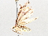  (Eois Malaise6833 - BIOUG64447-G08)  @11 [ ] CreativeCommons - Attribution (2021) Centre for Biodiversity Genomics Centre for Biodiversity Genomics